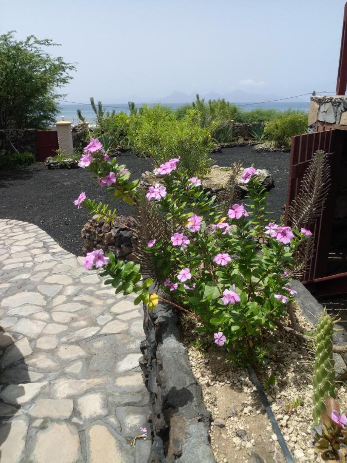 Coin De Paradis,Pavillon Doucimar Porto Novo Dış mekan fotoğraf